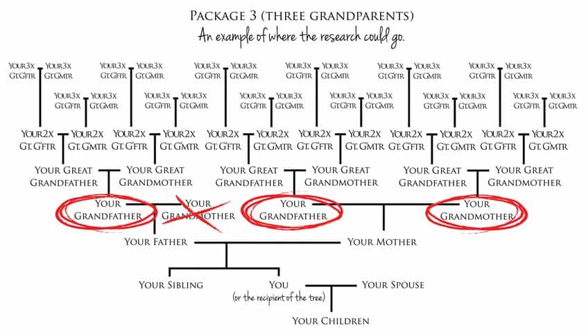 Heir Line Family History Research Package Three